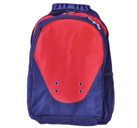 Climber backpack